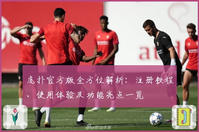 虎扑官方版全方位解析:注册教程、使用体验及功能亮点一览